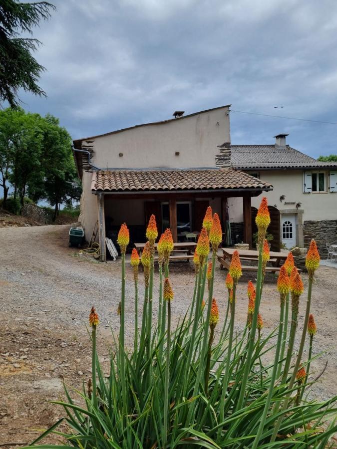 Vila L'Oeil De Carcassonne Caudebronde Exteriér fotografie